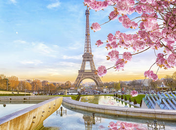 Spring Morning Scenery Background Eiffel Tower Paris French Landmark Photography Backdrop IBD-20075 - iBACKDROP-Attractions Iconic Landmarks, Eiffel Tower, eiffel tower backdrop, Flower Background, For Photography, Natural Backdrop, paris backdrop, paris themed backdrops, photography backdrops, Photography Background, pink backdrop, Portrait Photography backdrops, Scenery Background